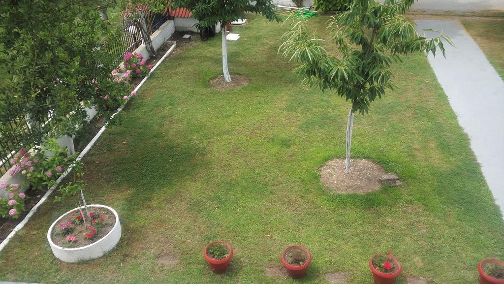 Appartement Georgoulas *
